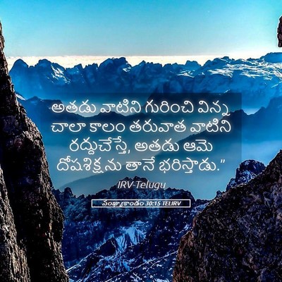 Picture 05 - సంఖ్యాకాండం 30:15 TELIRV - అతడు వాటిని - Bible Verse Picture