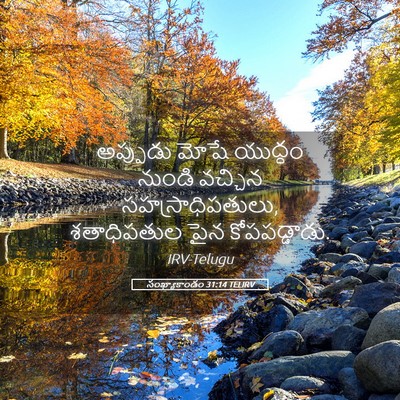Picture 05 - సంఖ్యాకాండం 31:14 TELIRV - అప్పుడు మోషే - Bible Verse Picture