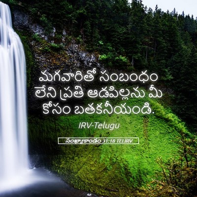 Picture 05 - సంఖ్యాకాండం 31:18 TELIRV - మగవారితో సంబంధం - Bible Verse Picture