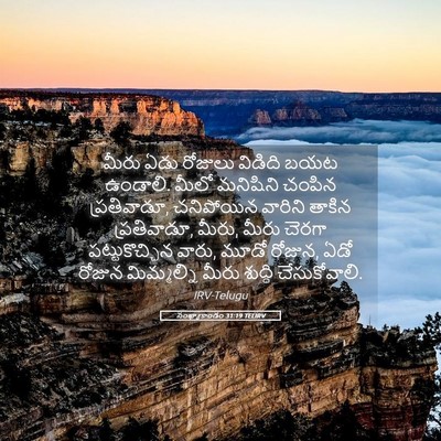 Picture 05 - సంఖ్యాకాండం 31:19 TELIRV - మీరు ఏడు రోజులు - Bible Verse Picture