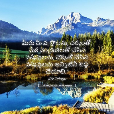Picture 05 - సంఖ్యాకాండం 31:20 TELIRV - మీరు మీ - Bible Verse Picture