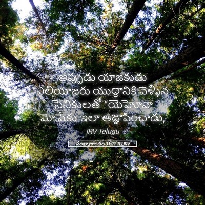 Picture 05 - సంఖ్యాకాండం 31:21 TELIRV - అప్పుడు యాజకుడు - Bible Verse Picture