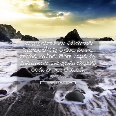 Picture 05 - సంఖ్యాకాండం 31:26 TELIRV - “నువ్వూ యాజకుడు - Bible Verse Picture