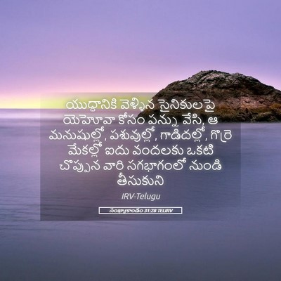 Picture 05 - సంఖ్యాకాండం 31:28 TELIRV - యుద్ధానికి - Bible Verse Picture