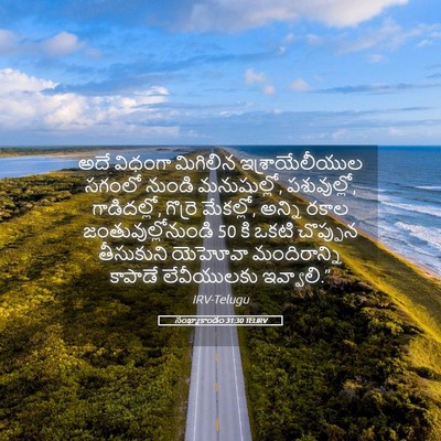 Picture 05 - సంఖ్యాకాండం 31:30 TELIRV - అదే విధంగా - Bible Verse Picture