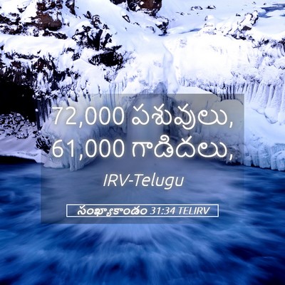 Picture 05 - సంఖ్యాకాండం 31:34 TELIRV - 72,000 పశువులు, 61,000 - Bible Verse Picture