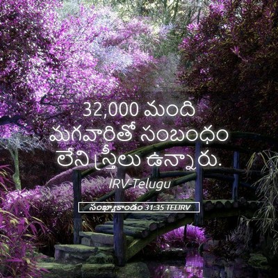 Picture 05 - సంఖ్యాకాండం 31:35 TELIRV - 32,000 మంది మగవారితో - Bible Verse Picture