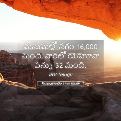 Picture 05 - సంఖ్యాకాండం 31:40 TELIRV - మనుషుల్లో సగం 16,000 - Bible Verse Picture