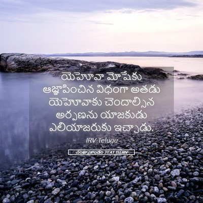 Picture 05 - సంఖ్యాకాండం 31:41 TELIRV - యెహోవా మోషేకు - Bible Verse Picture