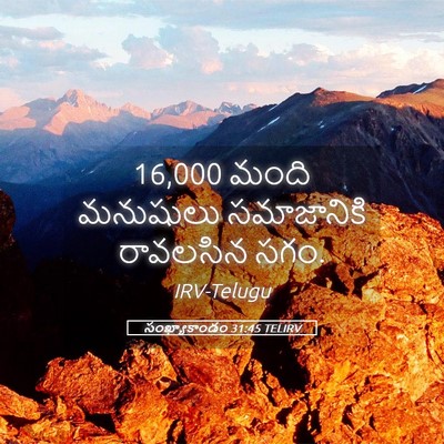 Picture 05 - సంఖ్యాకాండం 31:45 TELIRV - 16,000 మంది మనుషులు - Bible Verse Picture
