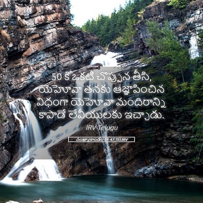 Picture 05 - సంఖ్యాకాండం 31:47 TELIRV - 50 కి ఒకటి చొప్పున - Bible Verse Picture