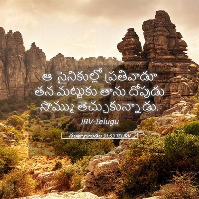 Picture 05 - సంఖ్యాకాండం 31:53 TELIRV - ఆ సైనికుల్లో - Bible Verse Picture