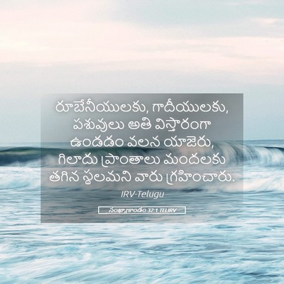 Picture 05 - సంఖ్యాకాండం 32:1 TELIRV - రూబేనీయులకు, - Bible Verse Picture