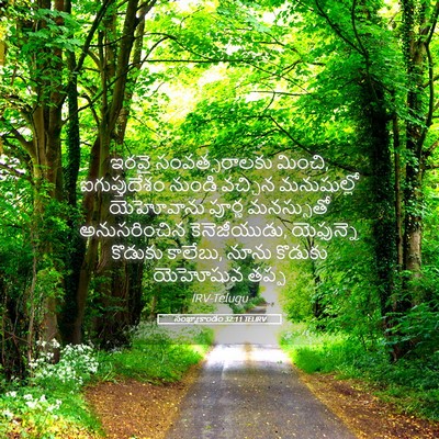 Picture 05 - సంఖ్యాకాండం 32:11 TELIRV - ఇరవై సంవత్సరాలకు - Bible Verse Picture