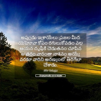 Picture 05 - సంఖ్యాకాండం 32:13 TELIRV - అప్పుడు ఇశ్రాయేలు - Bible Verse Picture
