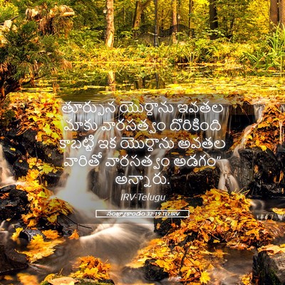 Picture 05 - సంఖ్యాకాండం 32:19 TELIRV - తూర్పున యొర్దాను - Bible Verse Picture