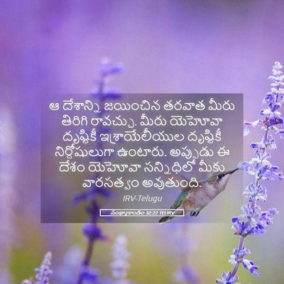 Picture 05 - సంఖ్యాకాండం 32:22 TELIRV - ఆ దేశాన్ని - Bible Verse Picture