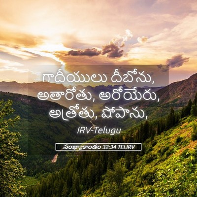 Picture 05 - సంఖ్యాకాండం 32:34 TELIRV - గాదీయులు దీబోను, - Bible Verse Picture