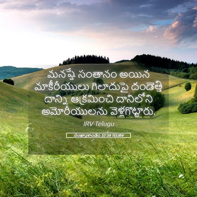 Picture 05 - సంఖ్యాకాండం 32:39 TELIRV - మనష్షే సంతానం - Bible Verse Picture