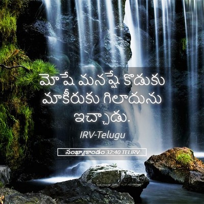 Picture 05 - సంఖ్యాకాండం 32:40 TELIRV - మోషే మనష్షే - Bible Verse Picture