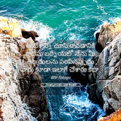 Picture 05 - సంఖ్యాకాండం 32:8 TELIRV - ఆ దేశాన్ని చూసి - Bible Verse Picture