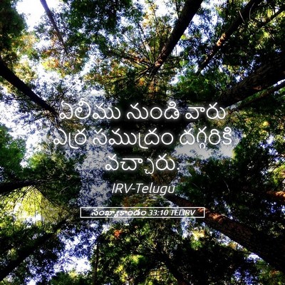Picture 05 - సంఖ్యాకాండం 33:10 TELIRV - ఏలీము నుండి వారు - Bible Verse Picture