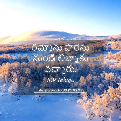 Picture 05 - సంఖ్యాకాండం 33:20 TELIRV - రిమ్మోను పారెసు - Bible Verse Picture