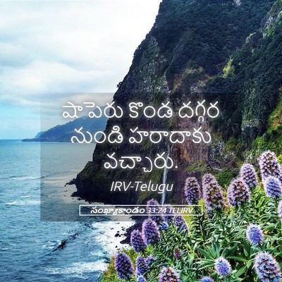 Picture 05 - సంఖ్యాకాండం 33:24 TELIRV - షాపెరు కొండ దగ్గర - Bible Verse Picture