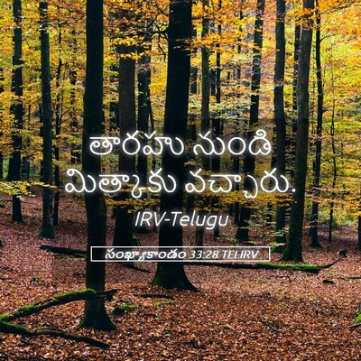 Picture 05 - సంఖ్యాకాండం 33:28 TELIRV - తారహు నుండి - Bible Verse Picture