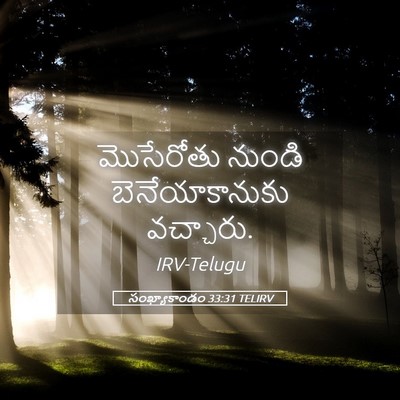 Picture 05 - సంఖ్యాకాండం 33:31 TELIRV - మొసేరోతు నుండి - Bible Verse Picture