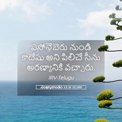 Picture 05 - సంఖ్యాకాండం 33:36 TELIRV - ఎసోన్గెబెరు నుండి - Bible Verse Picture