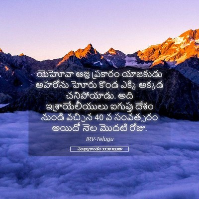 Picture 05 - సంఖ్యాకాండం 33:38 TELIRV - యెహోవా ఆజ్ఞ - Bible Verse Picture