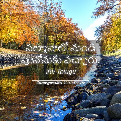 Picture 05 - సంఖ్యాకాండం 33:42 TELIRV - సల్మానాలో నుండి - Bible Verse Picture