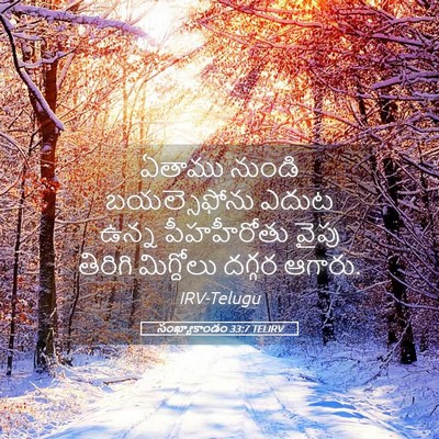 Picture 05 - సంఖ్యాకాండం 33:7 TELIRV - ఏతాము నుండి - Bible Verse Picture