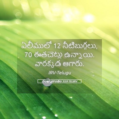 Picture 05 - సంఖ్యాకాండం 33:9 TELIRV - ఏలీములో 12 - Bible Verse Picture
