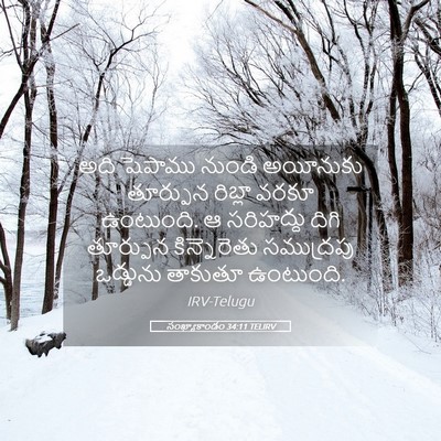 Picture 05 - సంఖ్యాకాండం 34:11 TELIRV - అది షెపాము నుండి - Bible Verse Picture