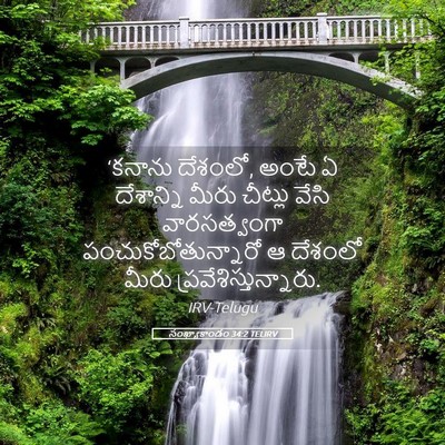 Picture 05 - సంఖ్యాకాండం 34:2 TELIRV - ‘కనాను దేశంలో, - Bible Verse Picture