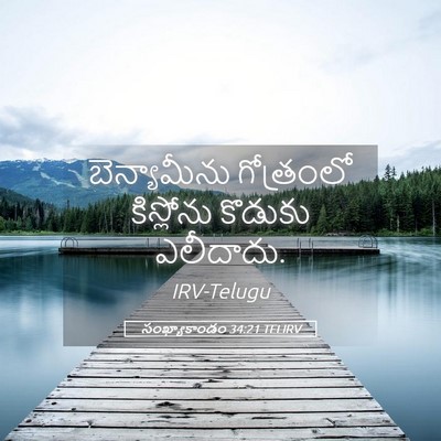 Picture 05 - సంఖ్యాకాండం 34:21 TELIRV - బెన్యామీను - Bible Verse Picture