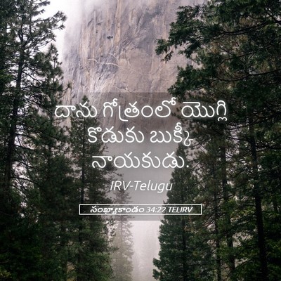 Picture 05 - సంఖ్యాకాండం 34:22 TELIRV - దాను గోత్రంలో - Bible Verse Picture