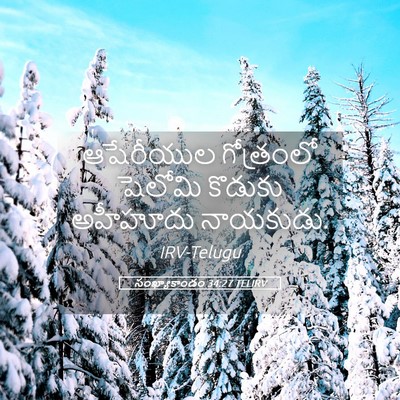 Picture 05 - సంఖ్యాకాండం 34:27 TELIRV - ఆషేరీయుల గోత్రంలో - Bible Verse Picture