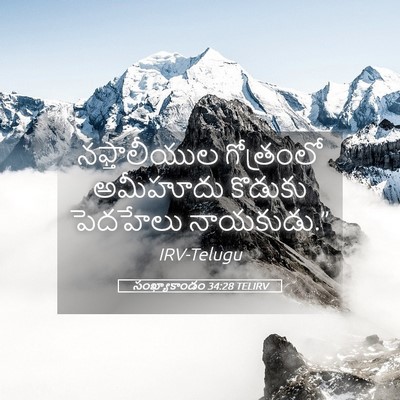 Picture 05 - సంఖ్యాకాండం 34:28 TELIRV - నఫ్తాలీయుల - Bible Verse Picture