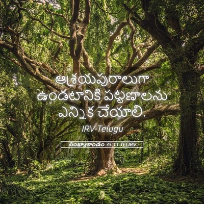 Picture 05 - సంఖ్యాకాండం 35:11 TELIRV - ఆశ్రయపురాలుగా - Bible Verse Picture