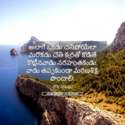 Picture 05 - సంఖ్యాకాండం 35:18 TELIRV - అలాగే ఒకడు - Bible Verse Picture