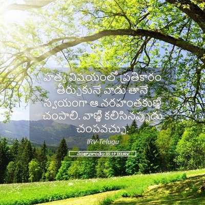 Picture 05 - సంఖ్యాకాండం 35:19 TELIRV - హత్య విషయంలో - Bible Verse Picture
