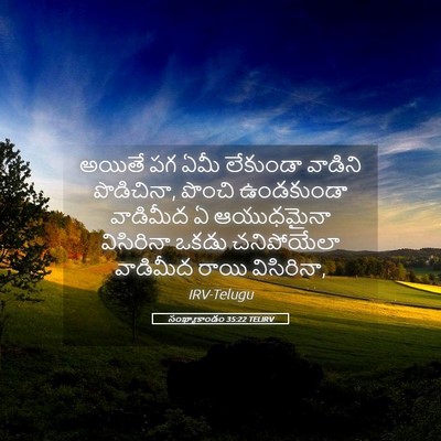 Picture 05 - సంఖ్యాకాండం 35:22 TELIRV - అయితే పగ ఏమీ - Bible Verse Picture