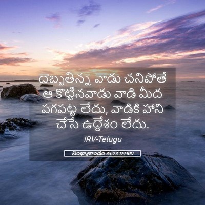 Picture 05 - సంఖ్యాకాండం 35:23 TELIRV - దెబ్బతిన్న వాడు - Bible Verse Picture
