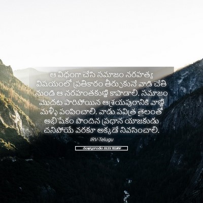 Picture 05 - సంఖ్యాకాండం 35:25 TELIRV - ఆ విధంగా చేసి - Bible Verse Picture