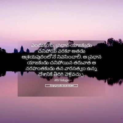 Picture 05 - సంఖ్యాకాండం 35:28 TELIRV - ఎందుకంటే, ప్రధాన - Bible Verse Picture