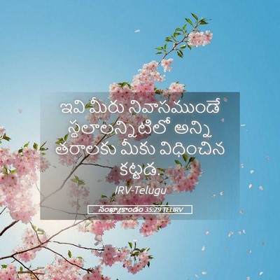 Picture 05 - సంఖ్యాకాండం 35:29 TELIRV - ఇవి మీరు - Bible Verse Picture