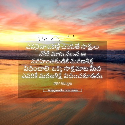 Picture 05 - సంఖ్యాకాండం 35:30 TELIRV - ఎవరైనా ఒకణ్ణి - Bible Verse Picture